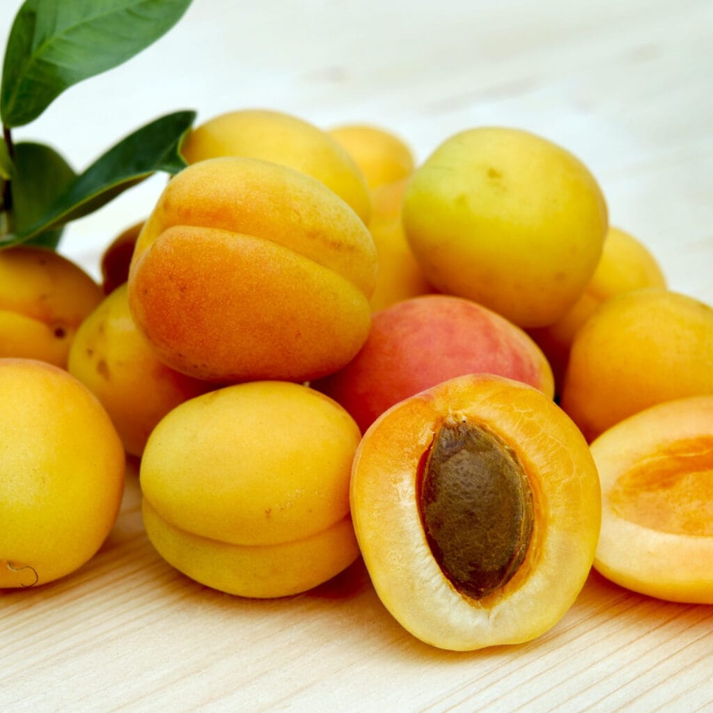 Apricots view
