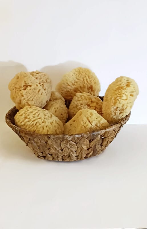 Go Nature Y Yellow Natural Sea Sponge Gentle Exfoliation - Image 3