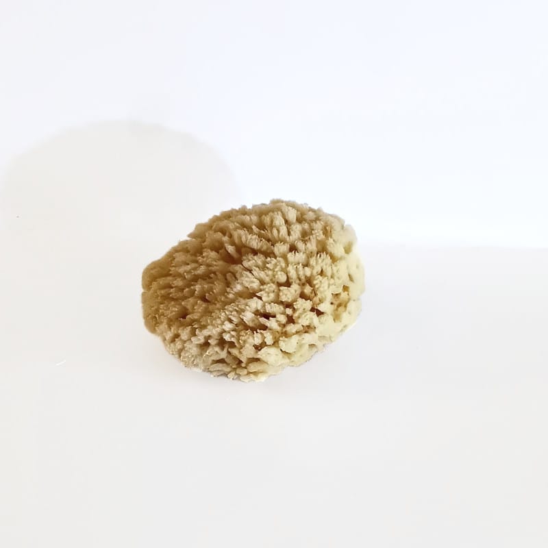 go nature y, yellow natural sea sponge, gentle exfoliation go nature y, yellow natural sea sponge, gentle exfoliation
