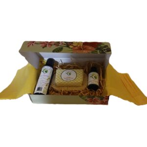 go nature y, lemon oil collection gift set, uplifting aromatherapy & self care