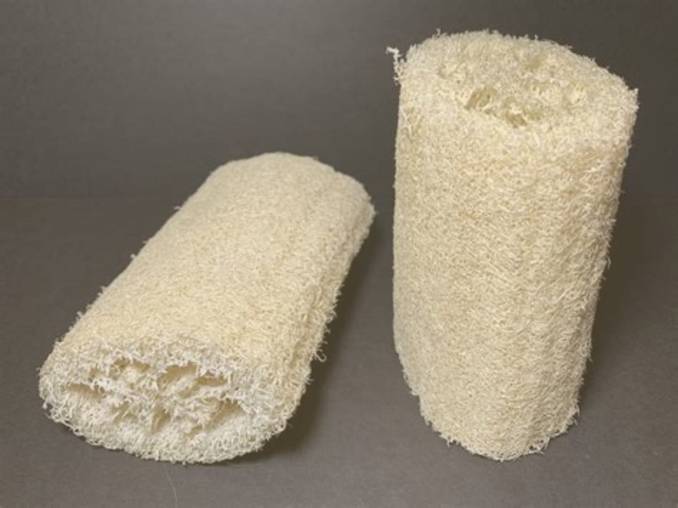 loofah.jpg. www edited loofah.jpg. www edited