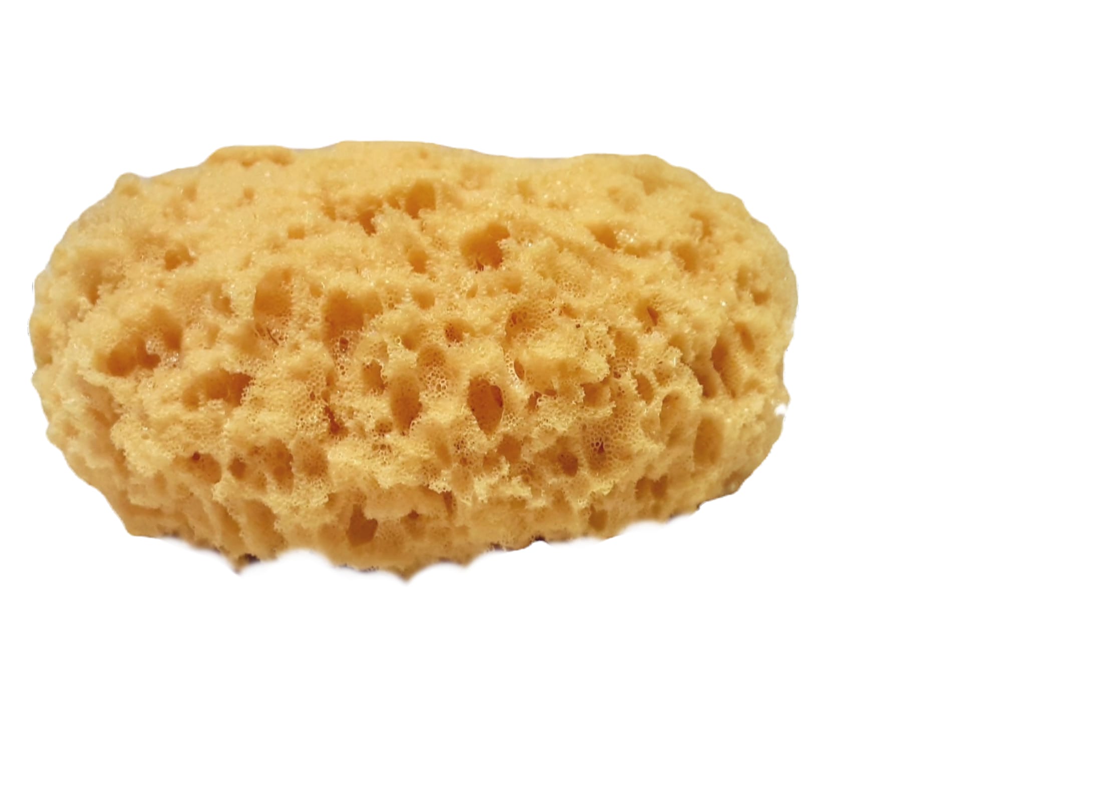 go nature y natural sea sponge, eco friendly soft texture go nature y natural sea sponge, eco friendly soft texture