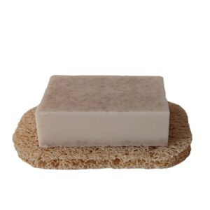 loofah soap saver, exfoliating tray, eco friendly