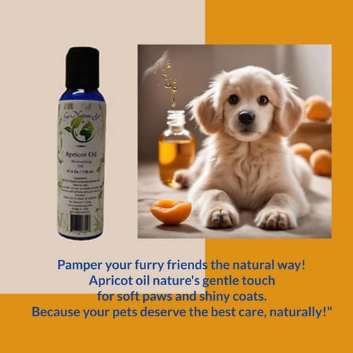 apricot oil for skin and hair care natural and nourishing, cold pressed apricot oil for skin and hair care natural and nourishing, cold pressed